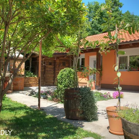 Holiday home Nettes In Mit Eigener Terrasse *