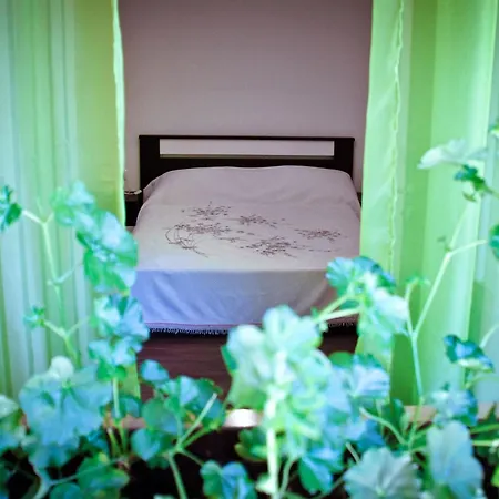 Holiday home Nettes In Mit Eigener Terrasse